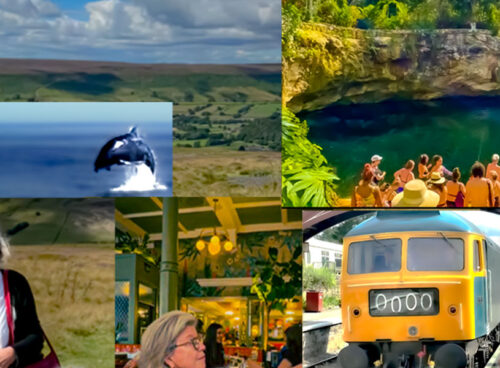 Growth and Learning through Travel: My 2022 Adventures