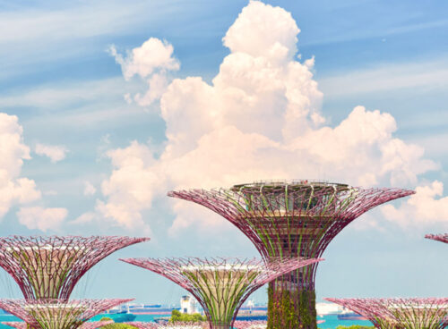 Surprising Singapore