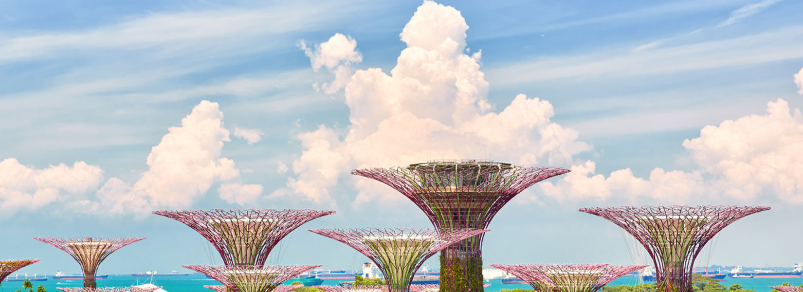 Surprising Singapore