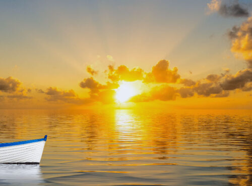 Death: Life's Final Transition