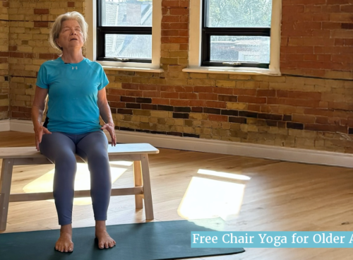 free seated workout at home online, chair yoga